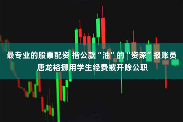 最专业的股票配资 揩公款“油”的“资深”报账员 唐龙裕挪用学生经费被开除公职