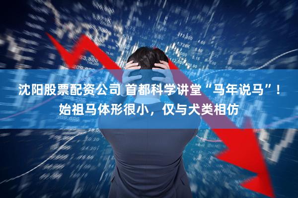 沈阳股票配资公司 首都科学讲堂“马年说马”!始祖马体形很小,仅与犬类相仿