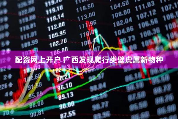 配资网上开户 广西发现爬行类壁虎属新物种