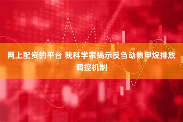 网上配资的平台 我科学家揭示反刍动物甲烷排放调控机制